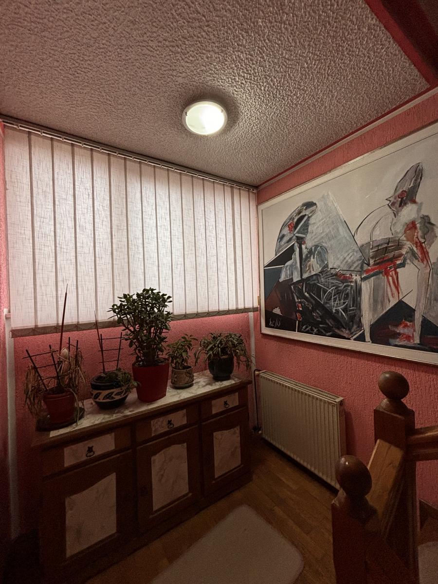 Prostrana porodična kuća sa dva sređena dvorišta i garažom 15