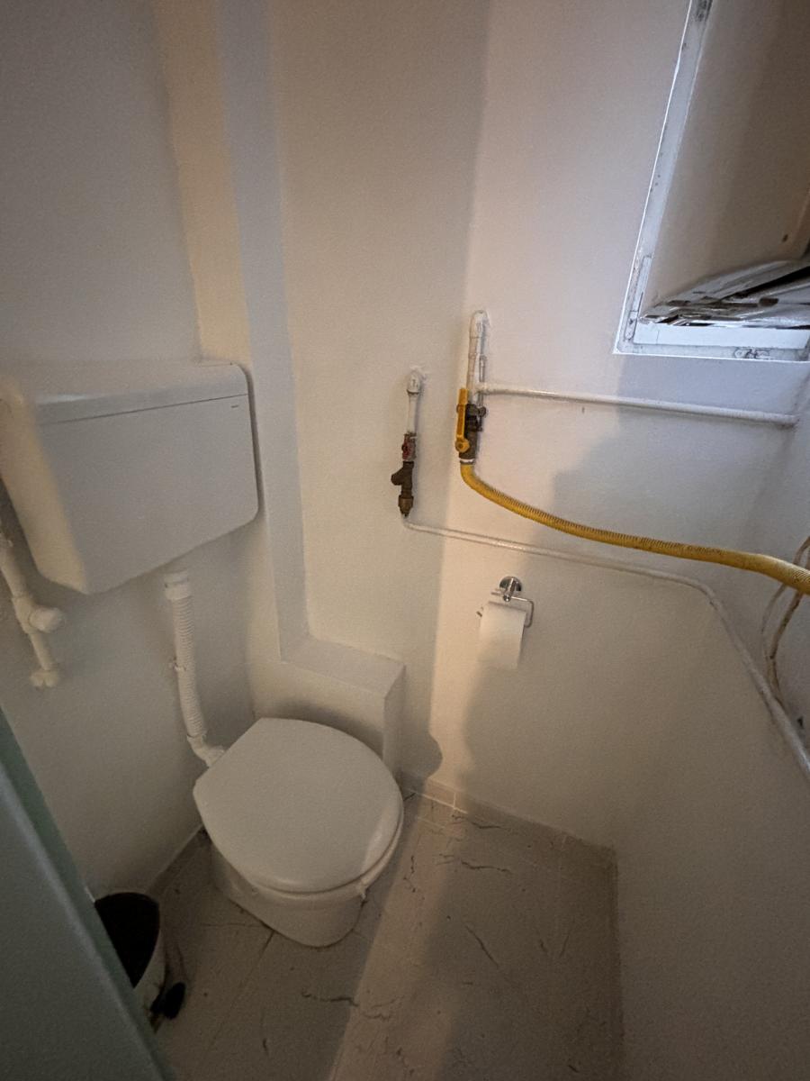 Prostrana porodična kuća sa dva sređena dvorišta i garažom 28