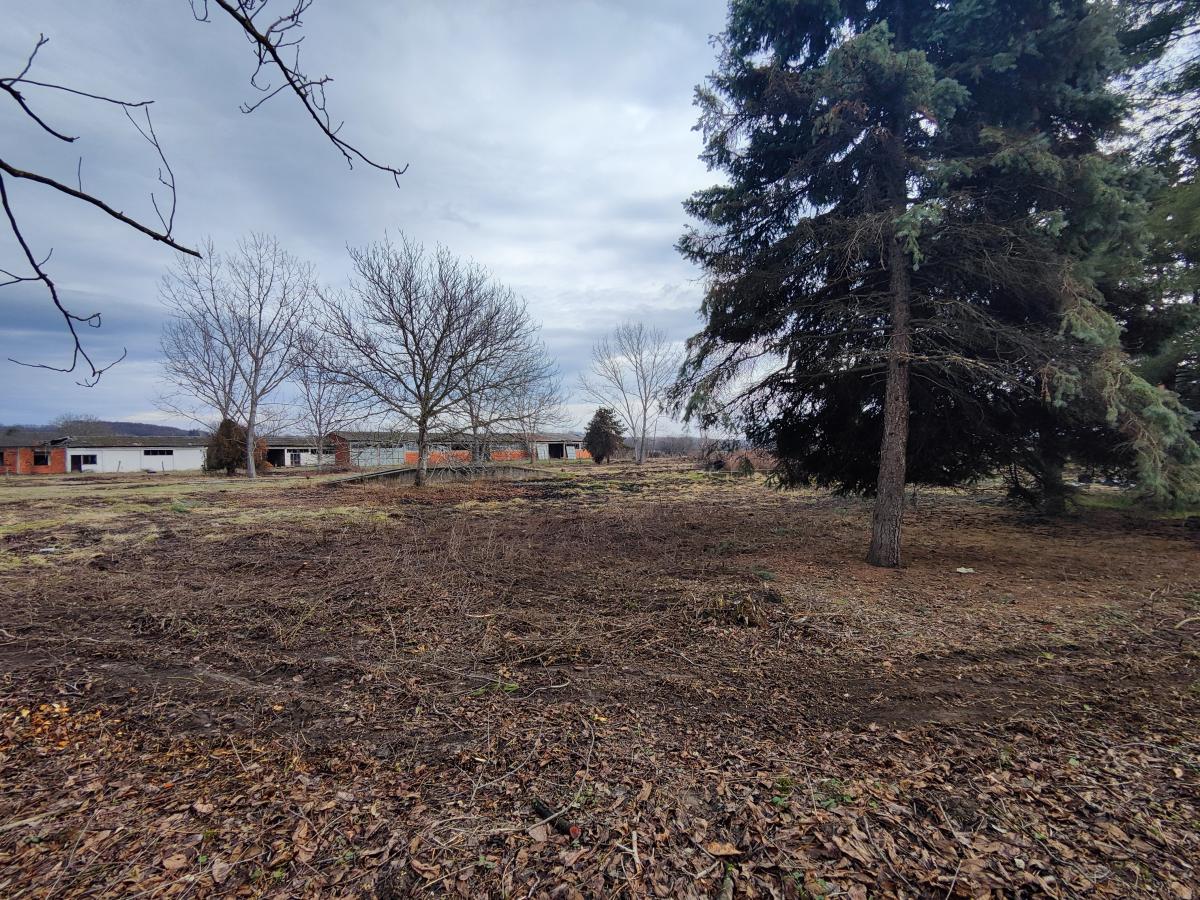 Gradjevinsko zemljište veće površine sa poslovnim objektima na glavnom putu u Glogovcu 10