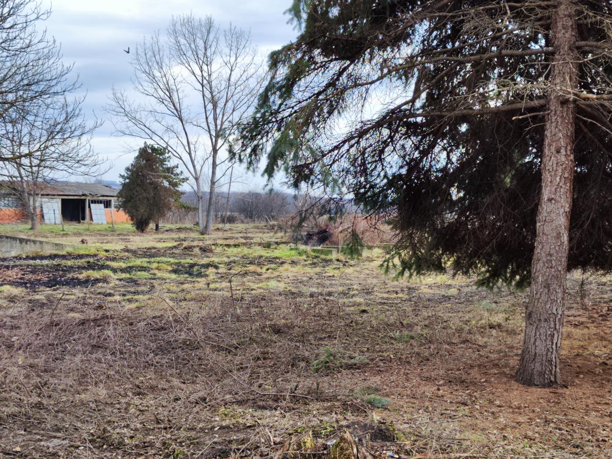 Gradjevinsko zemljište veće površine sa poslovnim objektima na glavnom putu u Glogovcu 11