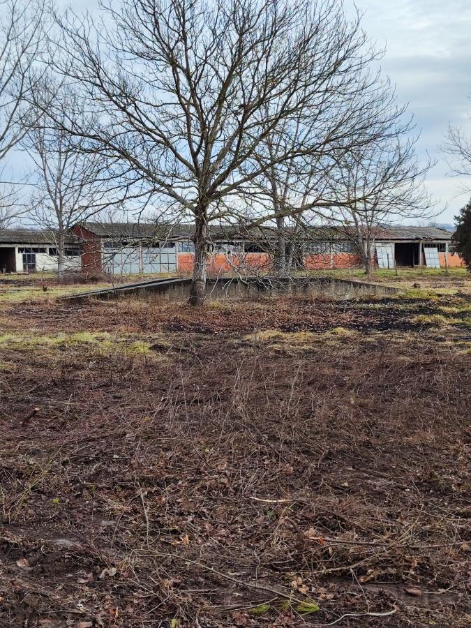 Gradjevinsko zemljište veće površine sa poslovnim objektima na glavnom putu u Glogovcu 6