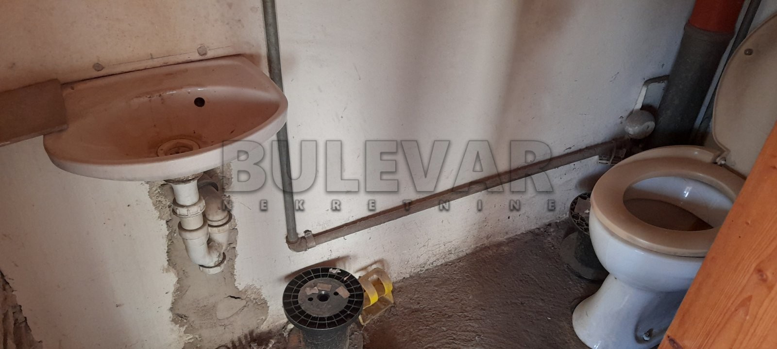 Lokal, 46 m2, Šojka, Obilićev venac ID: p-013019 7