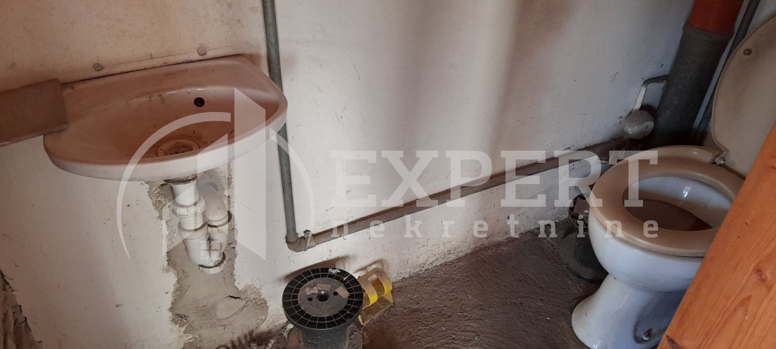 Lokal, 46 m2, Šojka, Obilićev venac ID: p-013019 7