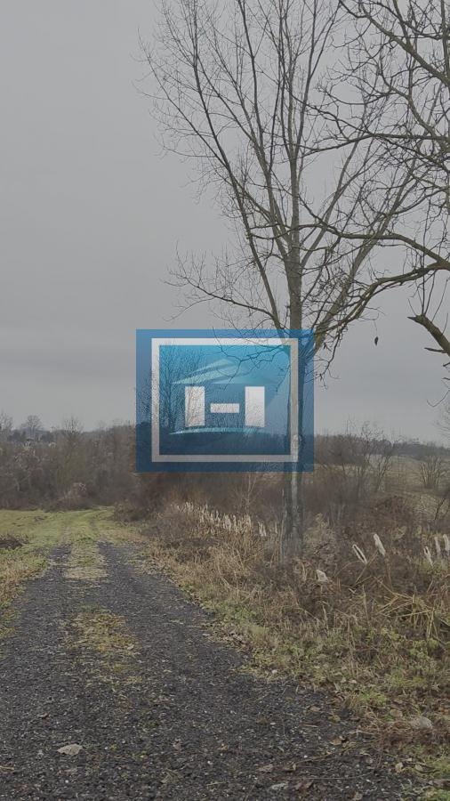 U ponudi velika parcela u centralnom delu  sela Dobrovodice kod Batočine 10