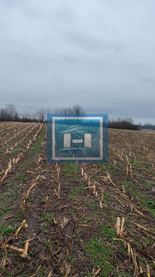 U ponudi velika parcela u centralnom delu  sela Dobrovodice kod Batočine 11