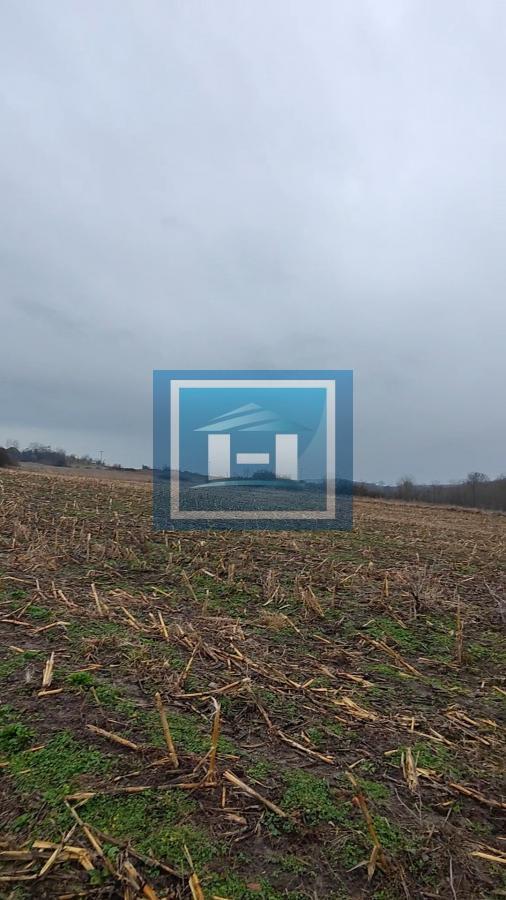 U ponudi velika parcela u centralnom delu  sela Dobrovodice kod Batočine 15