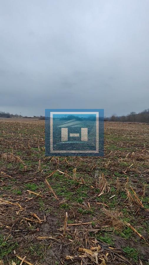 U ponudi velika parcela u centralnom delu  sela Dobrovodice kod Batočine 18