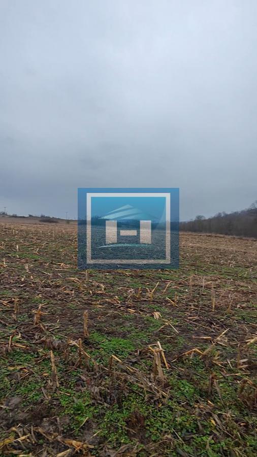 U ponudi velika parcela u centralnom delu  sela Dobrovodice kod Batočine 19