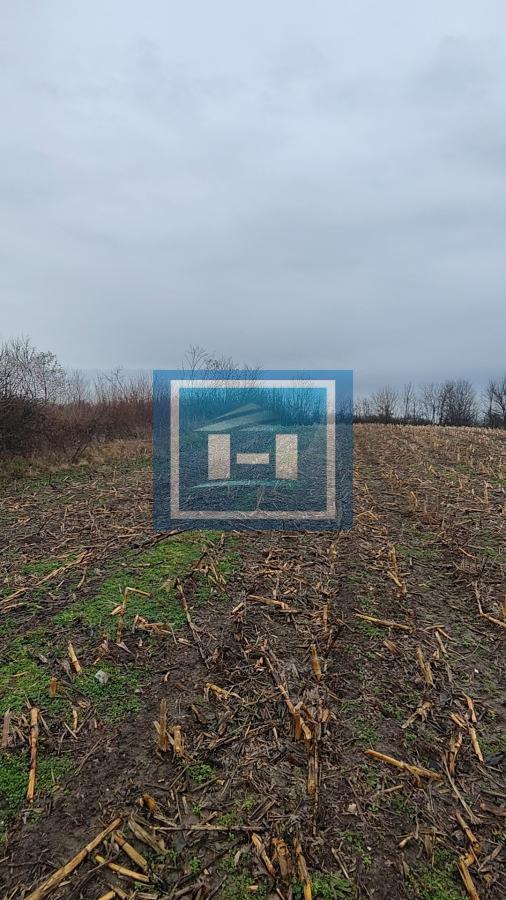 U ponudi velika parcela u centralnom delu  sela Dobrovodice kod Batočine 20