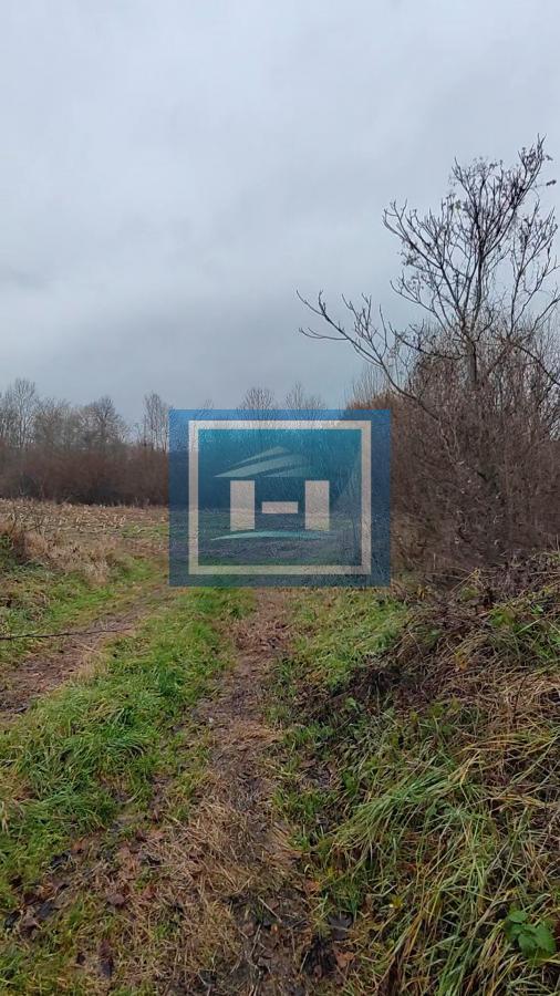 U ponudi velika parcela u centralnom delu  sela Dobrovodice kod Batočine 21