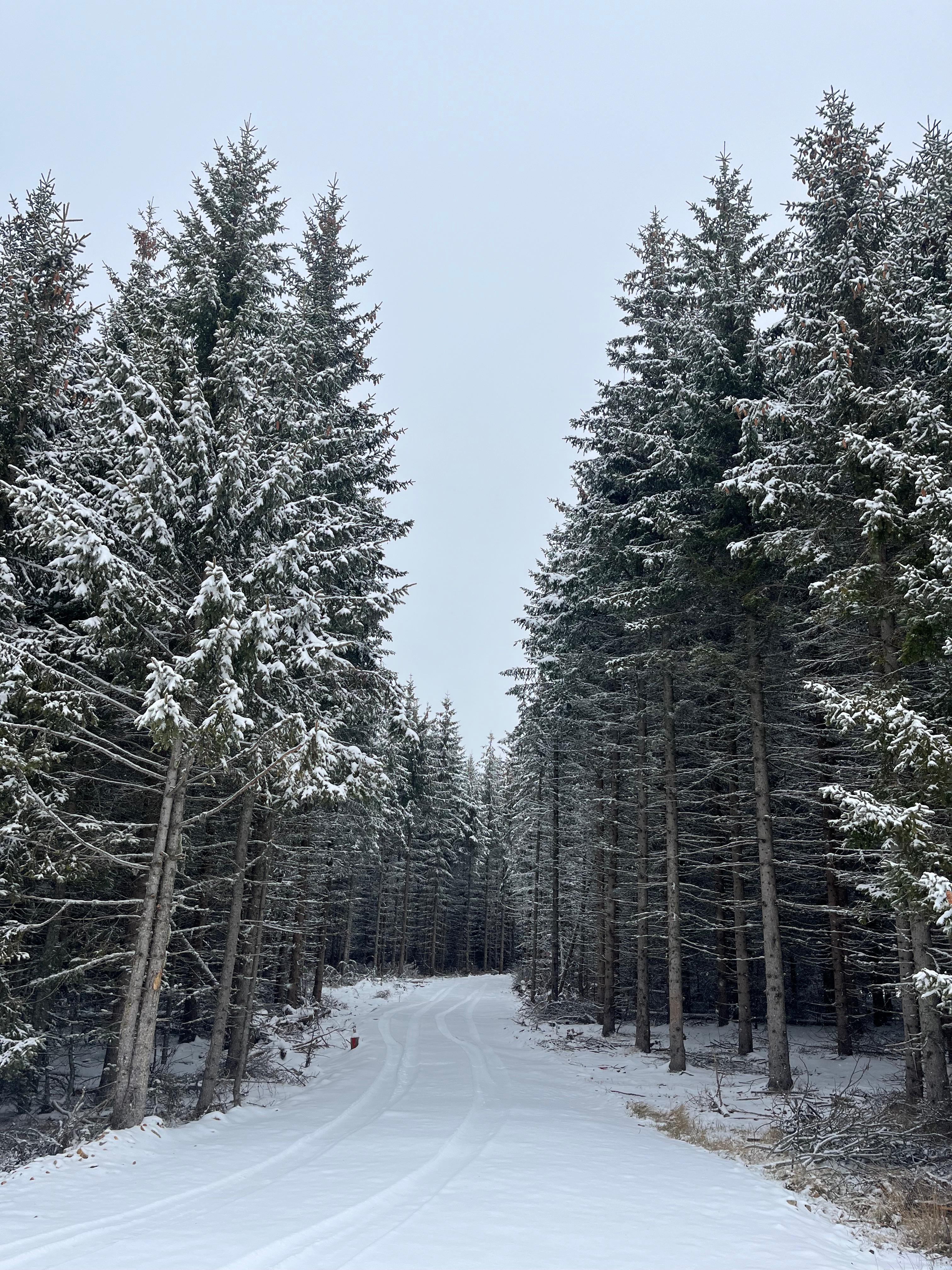 Udobni  komformi apartmani na Goliji izdavanje 5