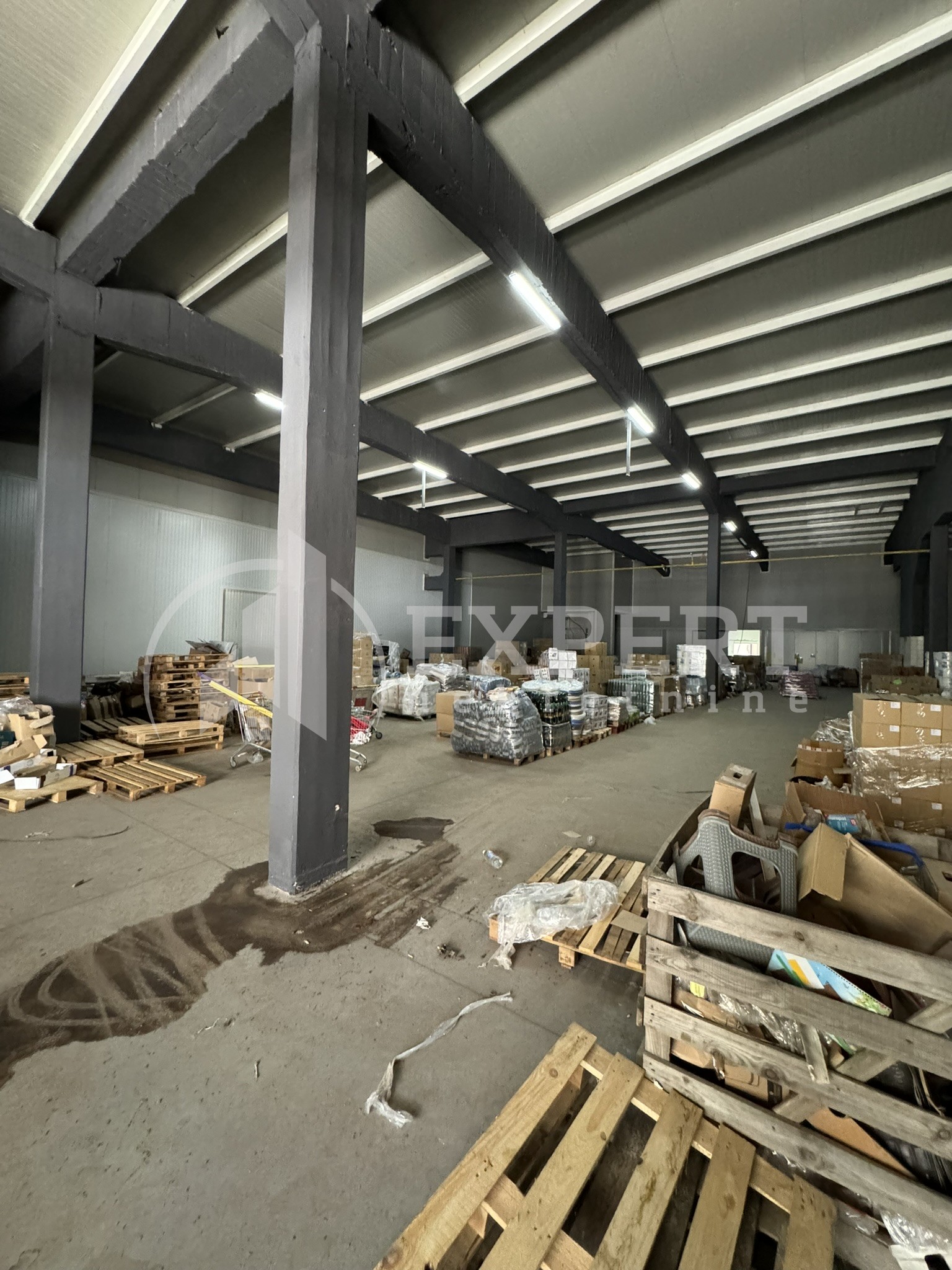 Lokal, 1000 m2, Kičevo, Šumadijska ID: i-013158 21