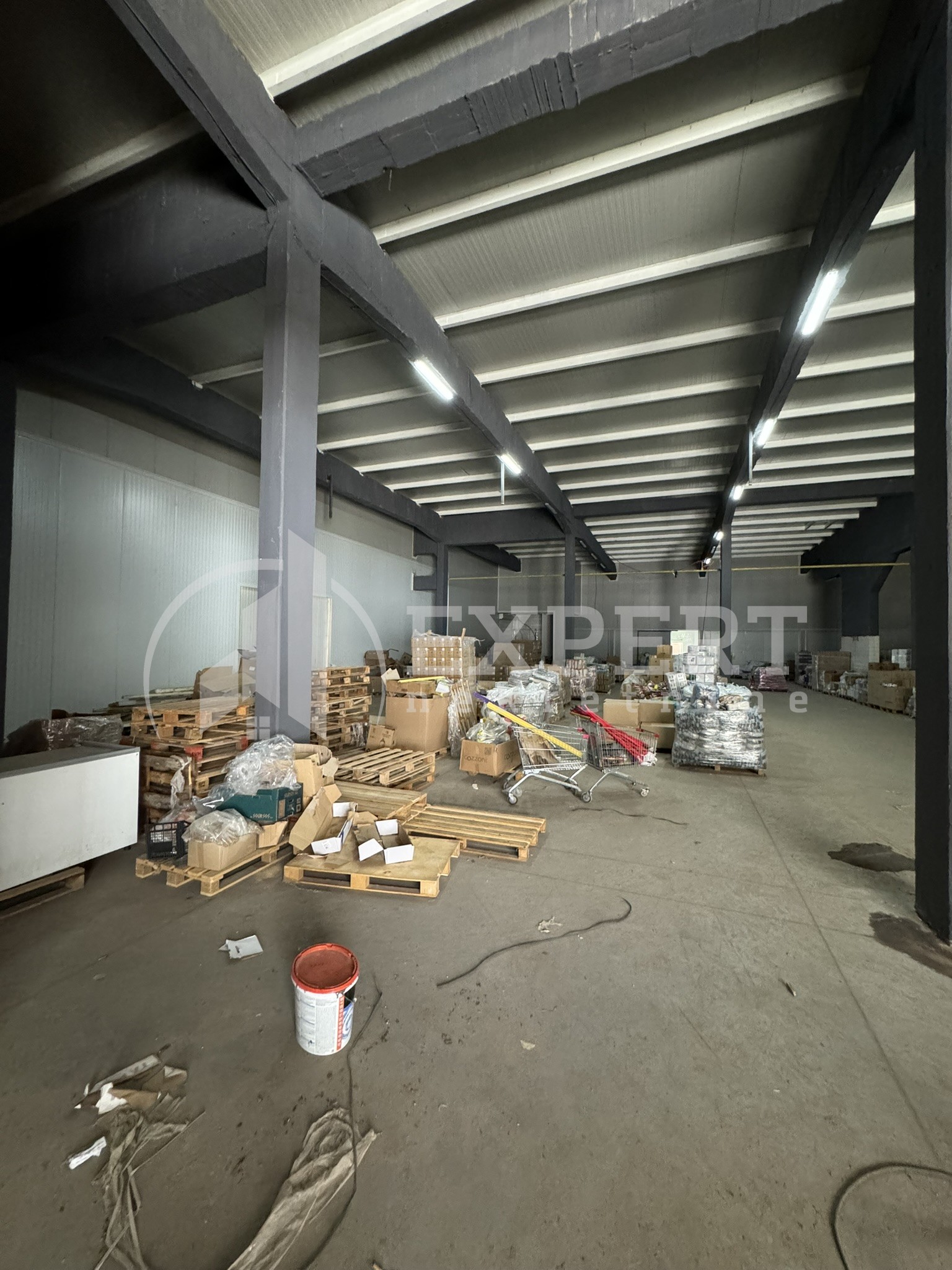 Lokal, 1000 m2, Kičevo, Šumadijska ID: i-013158 33