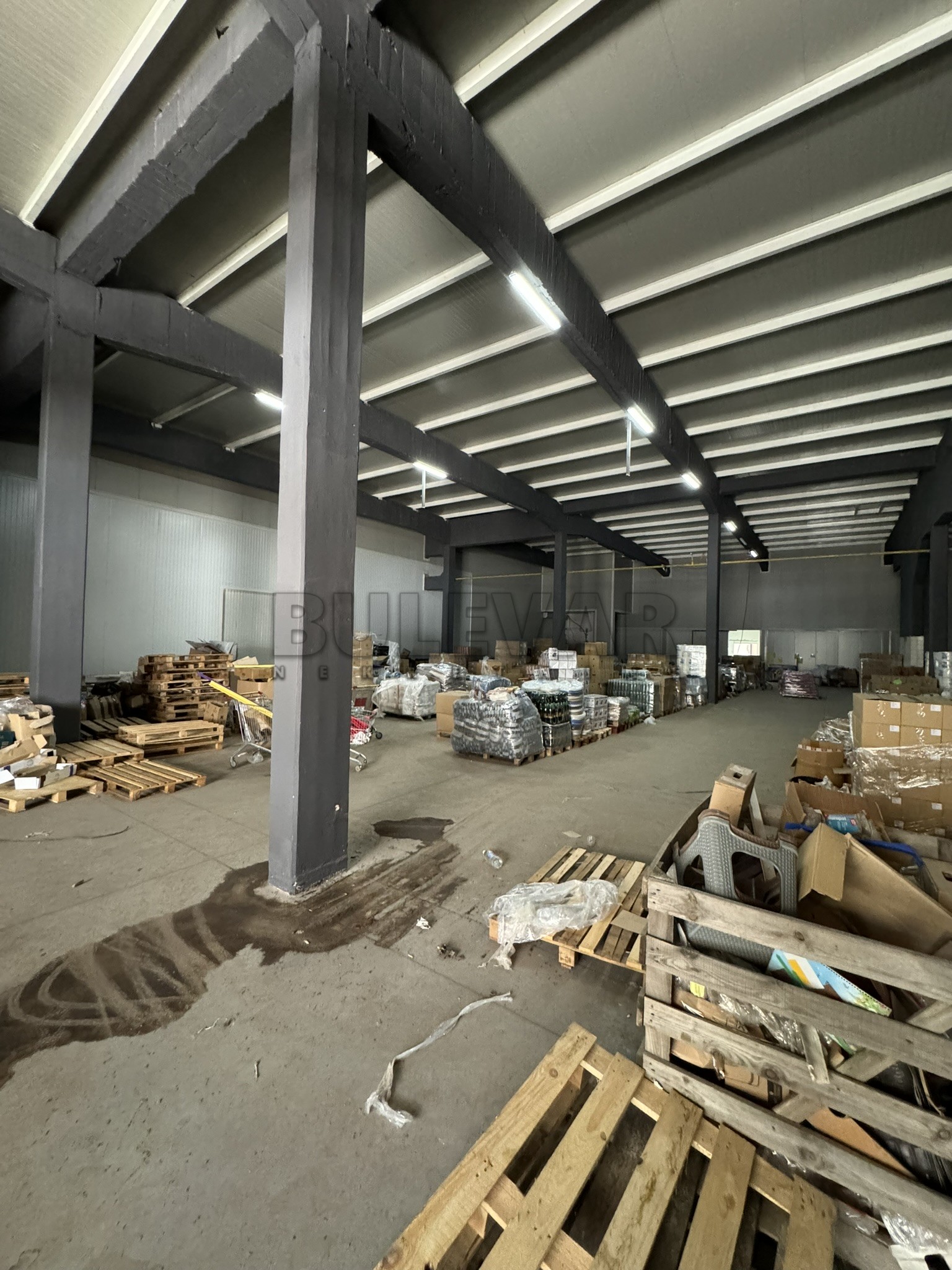 Lokal, 1000 m2, Kičevo, Šumadijska ID: i-013158 21