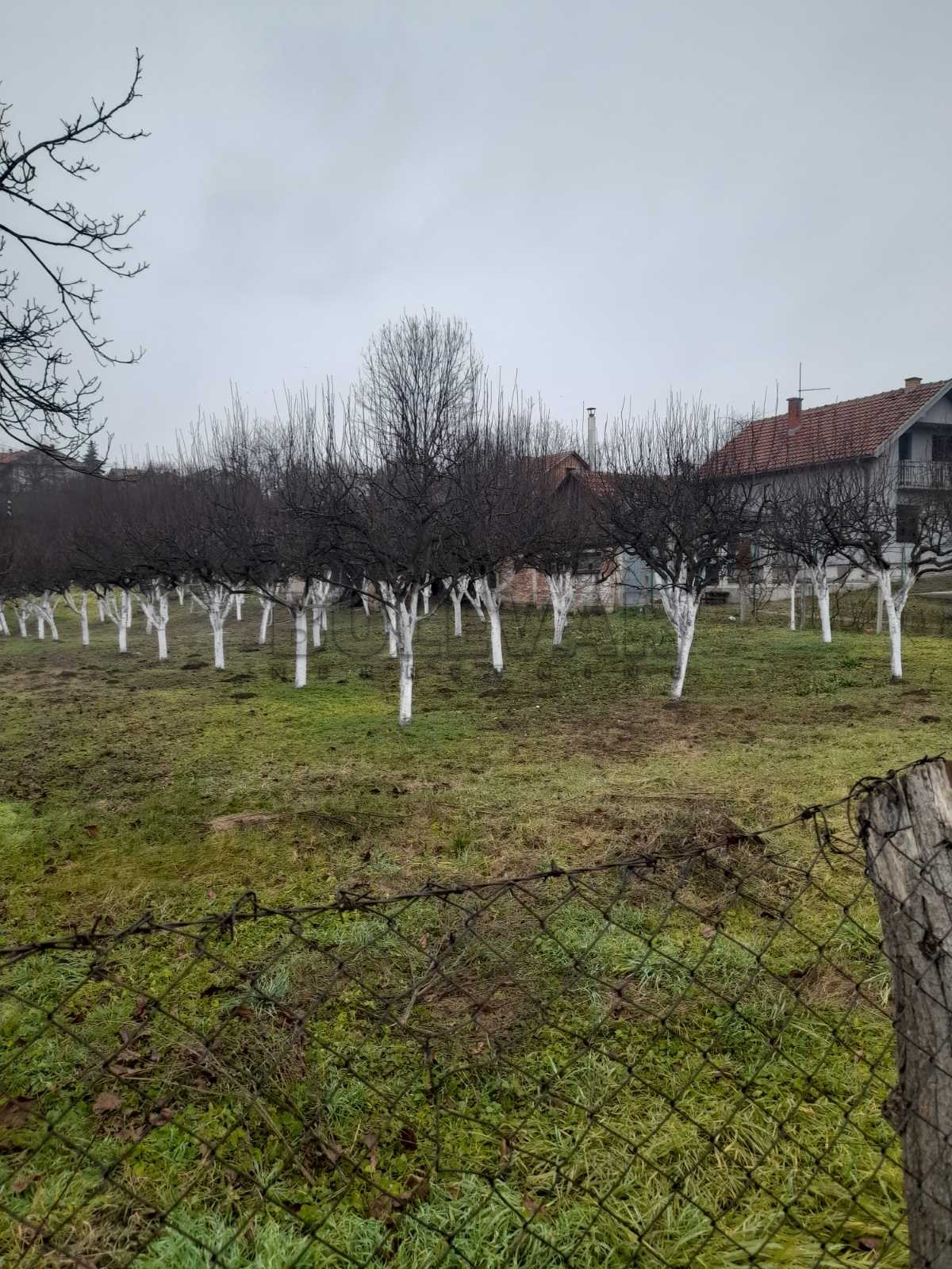 Plac, Levačka ID: p-013175 3