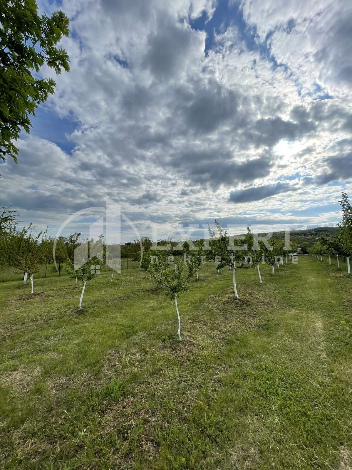 Trosobna kuća, 100 m2, Donji Matejevac, Matejevački put ID: p-013219 11