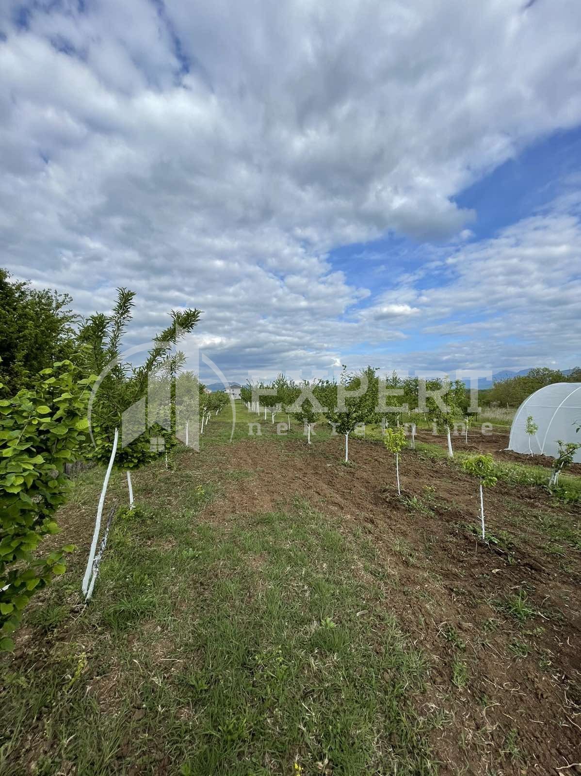 Trosobna kuća, 100 m2, Donji Matejevac, Matejevački put ID: p-013219 12