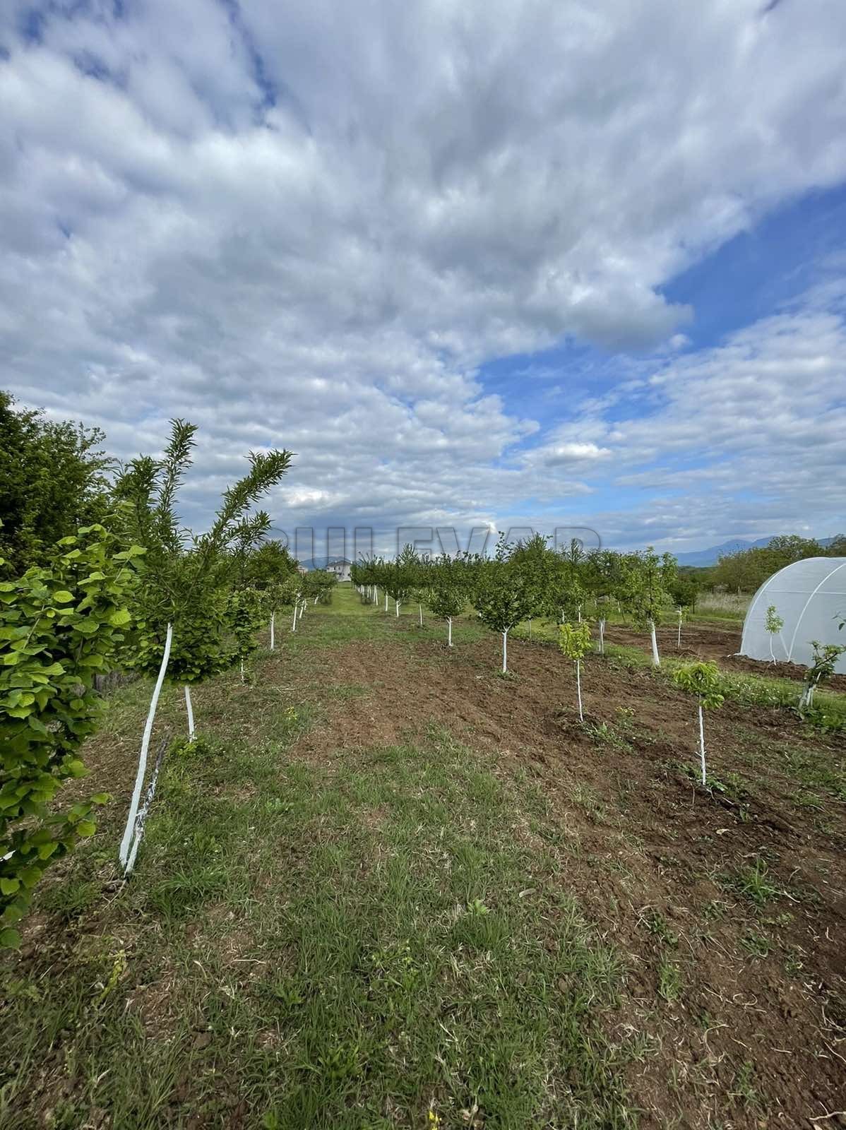 Trosobna kuća, 100 m2, Donji Matejevac, Matejevački put ID: p-013219 12