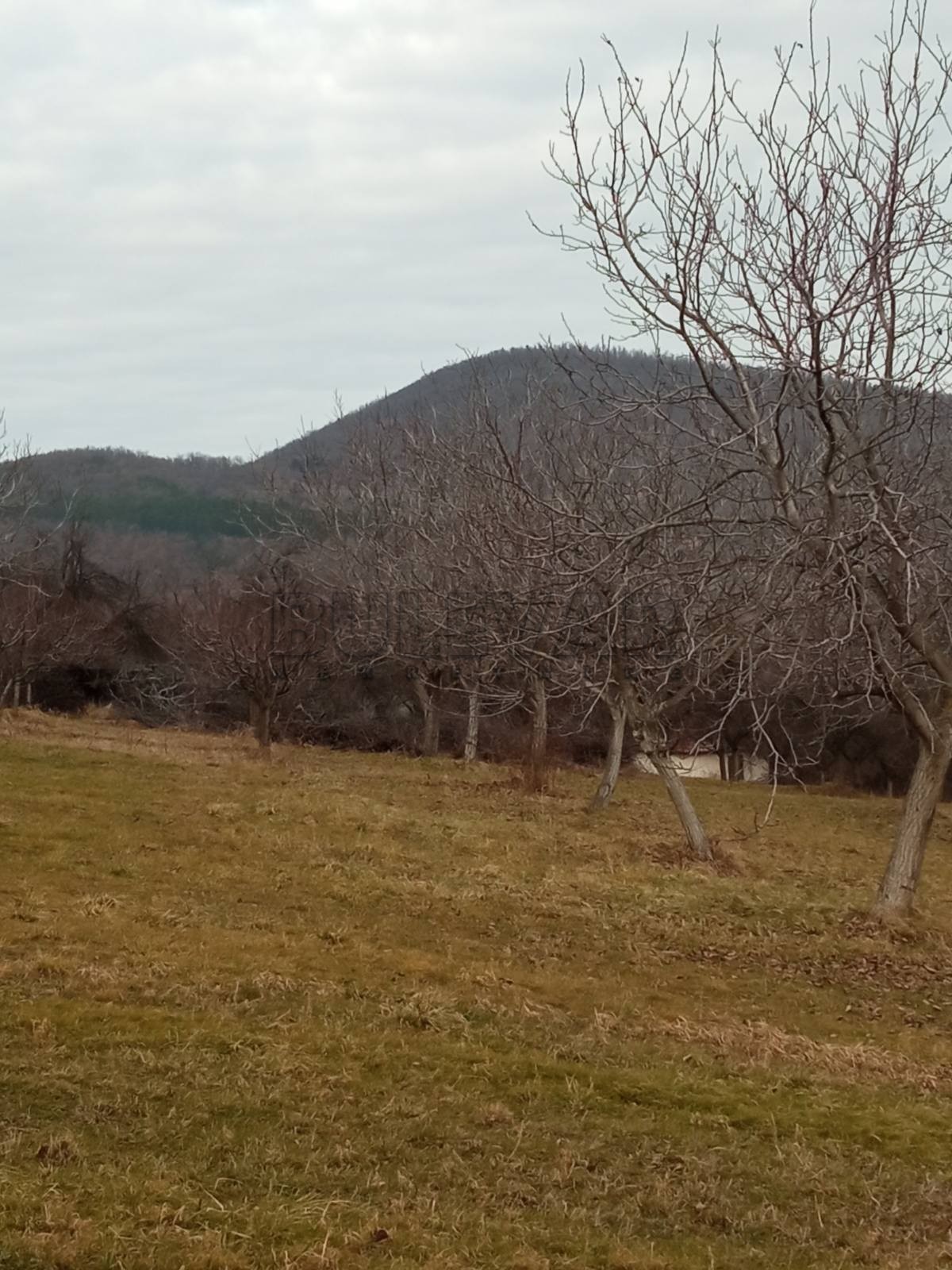 Plac, Stragari, Ramaća ID: p-013238 4