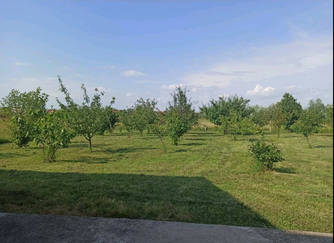 Prodajem kucu u Veterniku 2