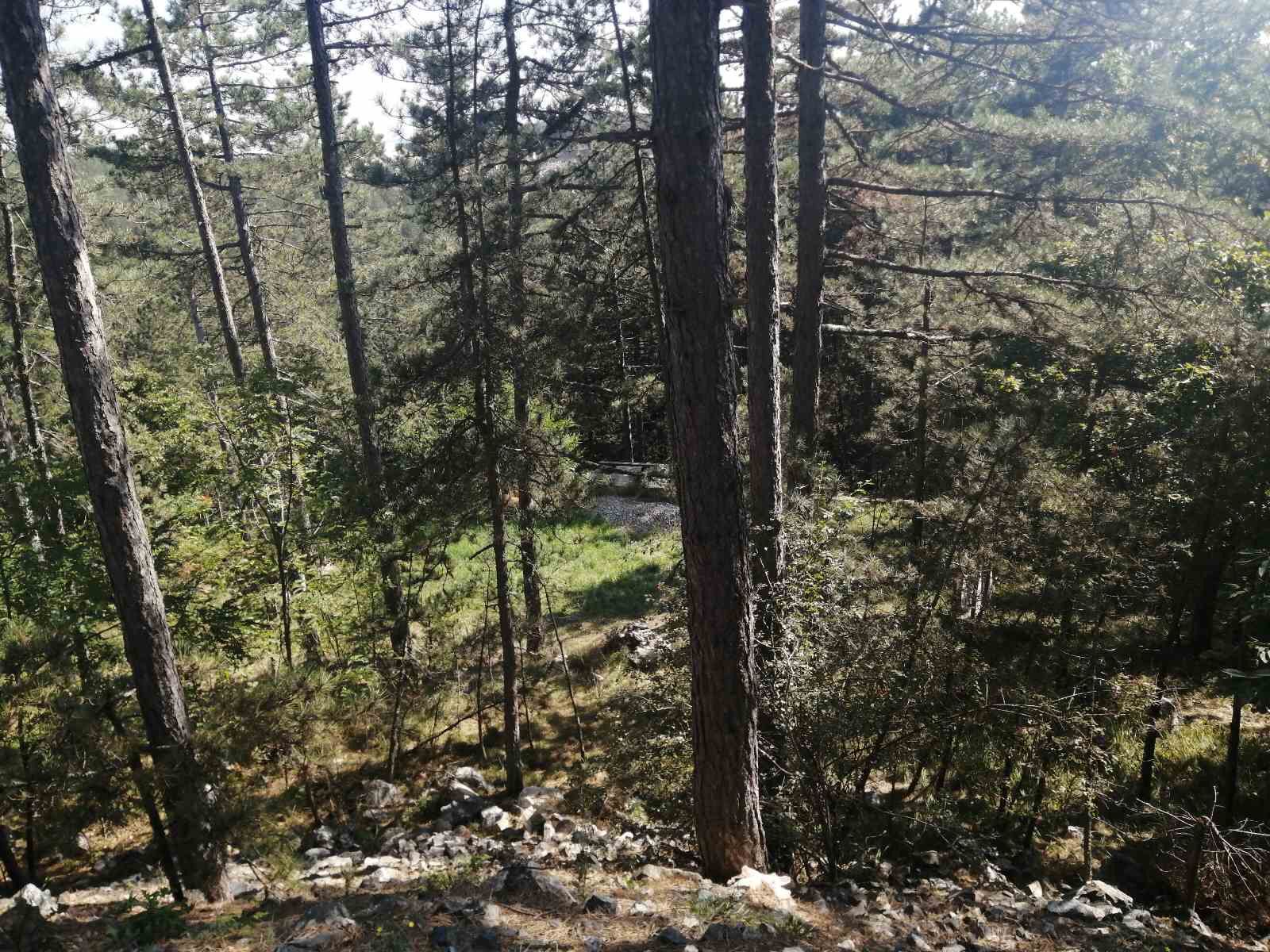 Gradjevinska Parcela   u centru Tare 3