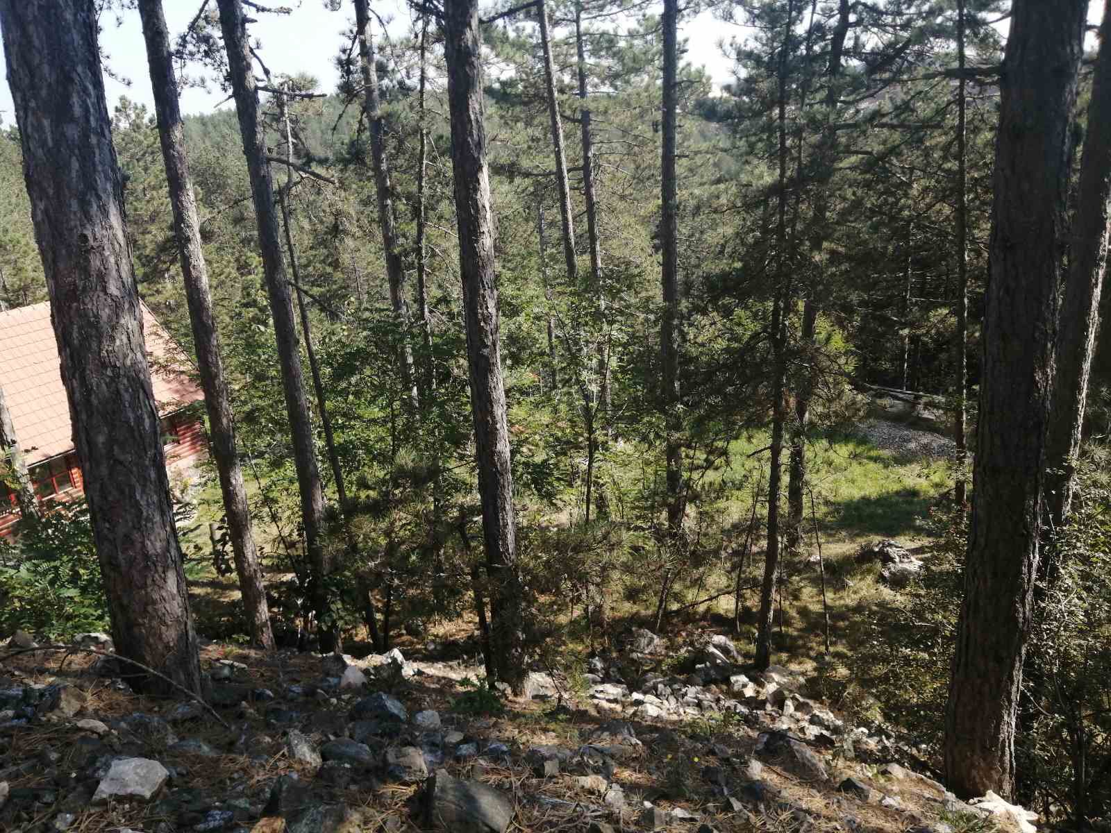 Gradjevinska Parcela   u centru Tare 4