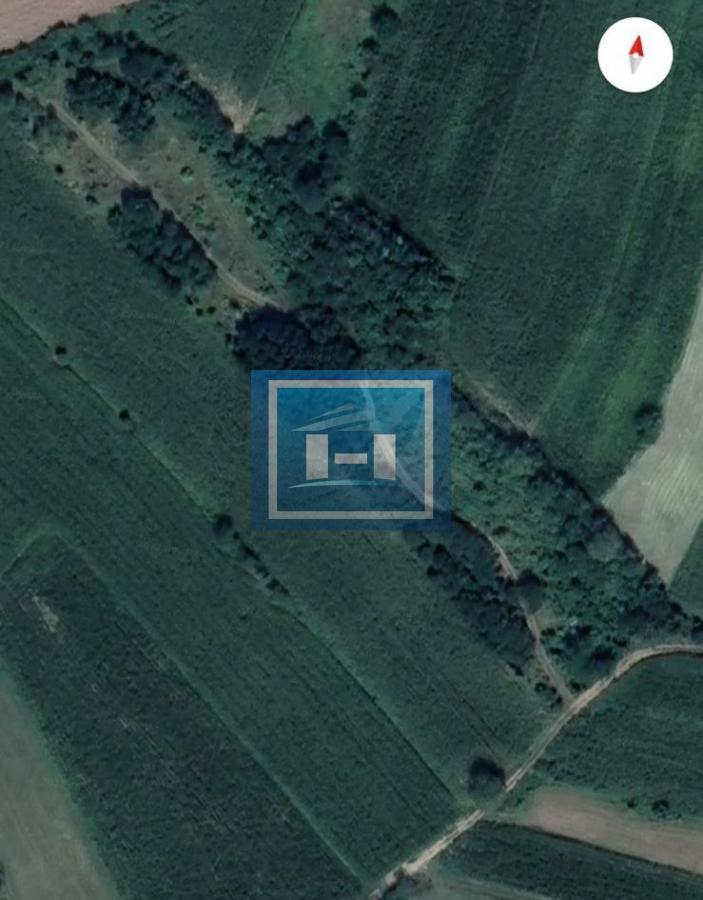 Veća parcela u Brzinu kod Batočine 1