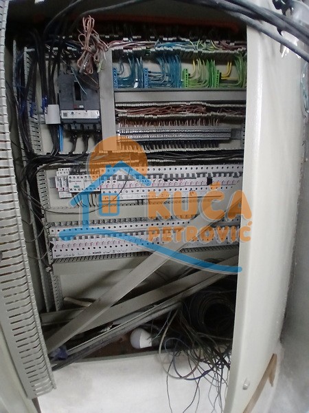 Lokal, 250 m2, Palilula, Donjovlaška ID: i-013299 17