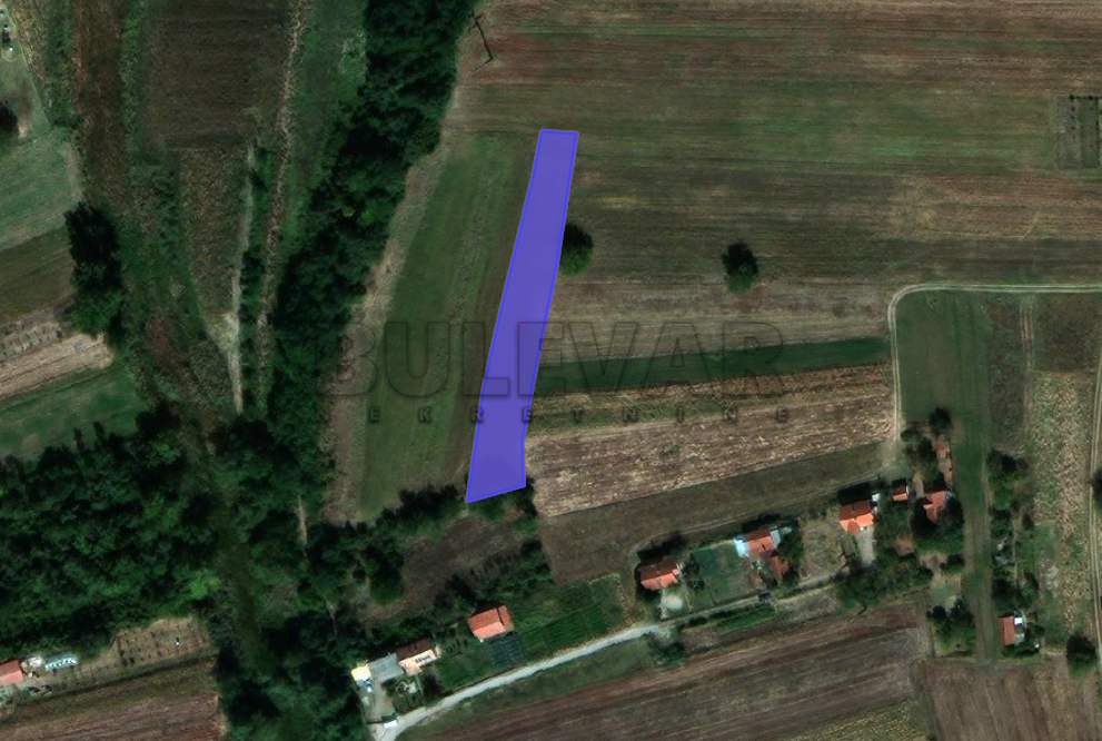 Plac, Trupale, Trupale ID: p-013297 1