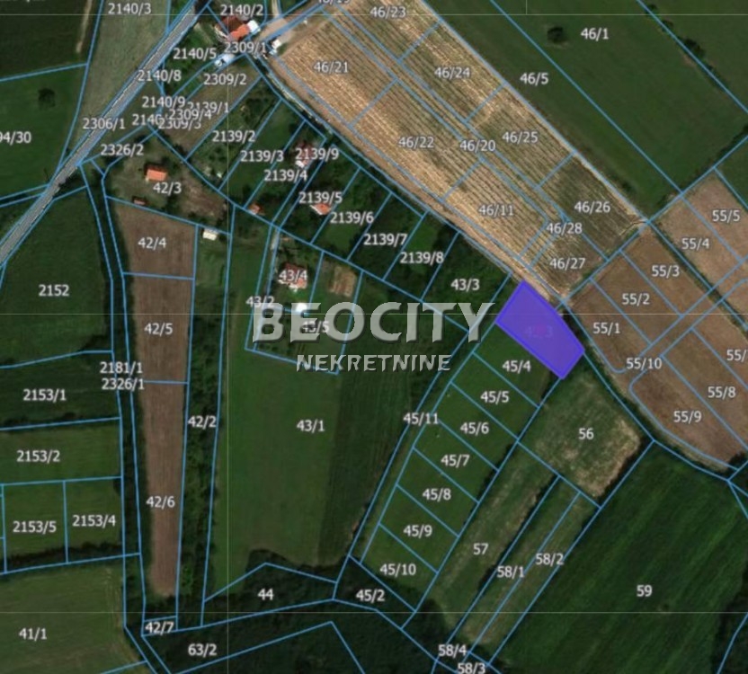 Plac, Sopot, Drlupa ID: 116265 1