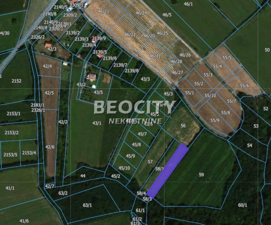 Plac, Sopot, Drlupa ID: 116266 1