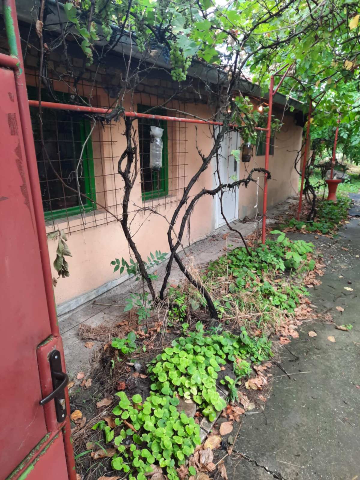 Prodajem kucu Rabe Novi Knezevac 2