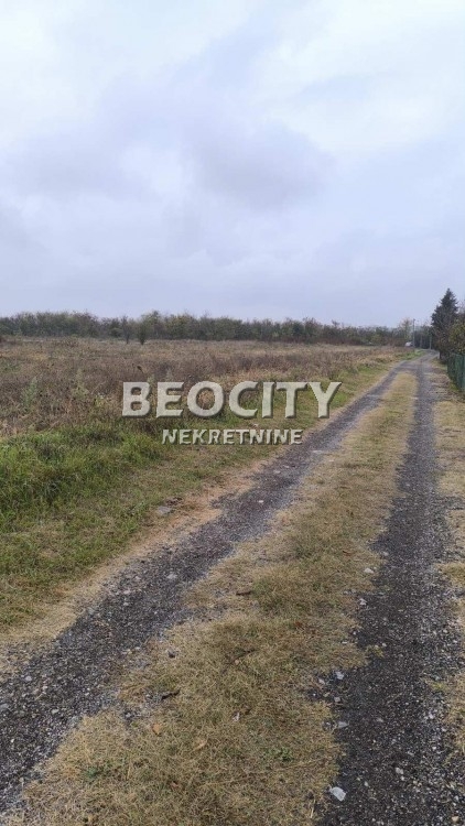 Plac, Železnik, Niška ID: 116554 2