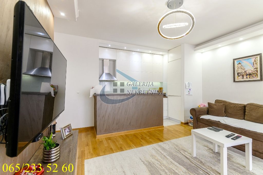 Zvezdara  Lion   Radoja Domanovića 64m2 5