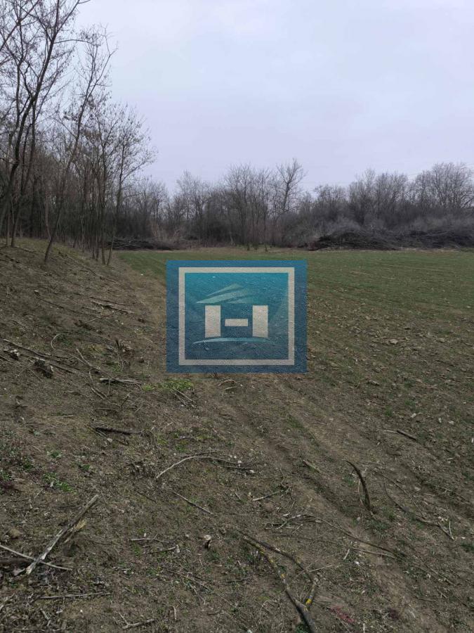 Građevinsko zemljište na 150m od glavnog puta Ćuprija-Jagodina 2