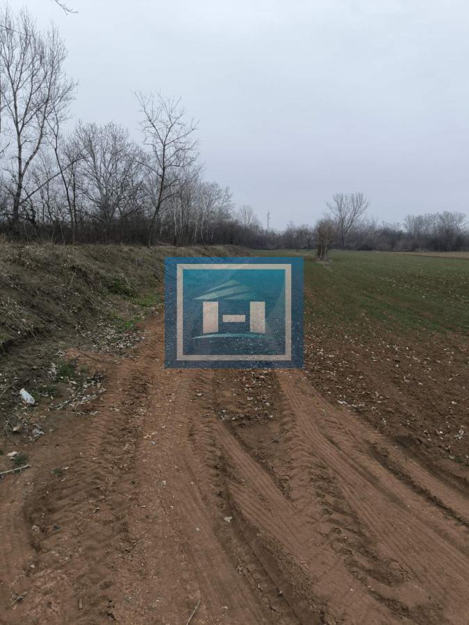 Građevinsko zemljište na 150m od glavnog puta Ćuprija-Jagodina 4