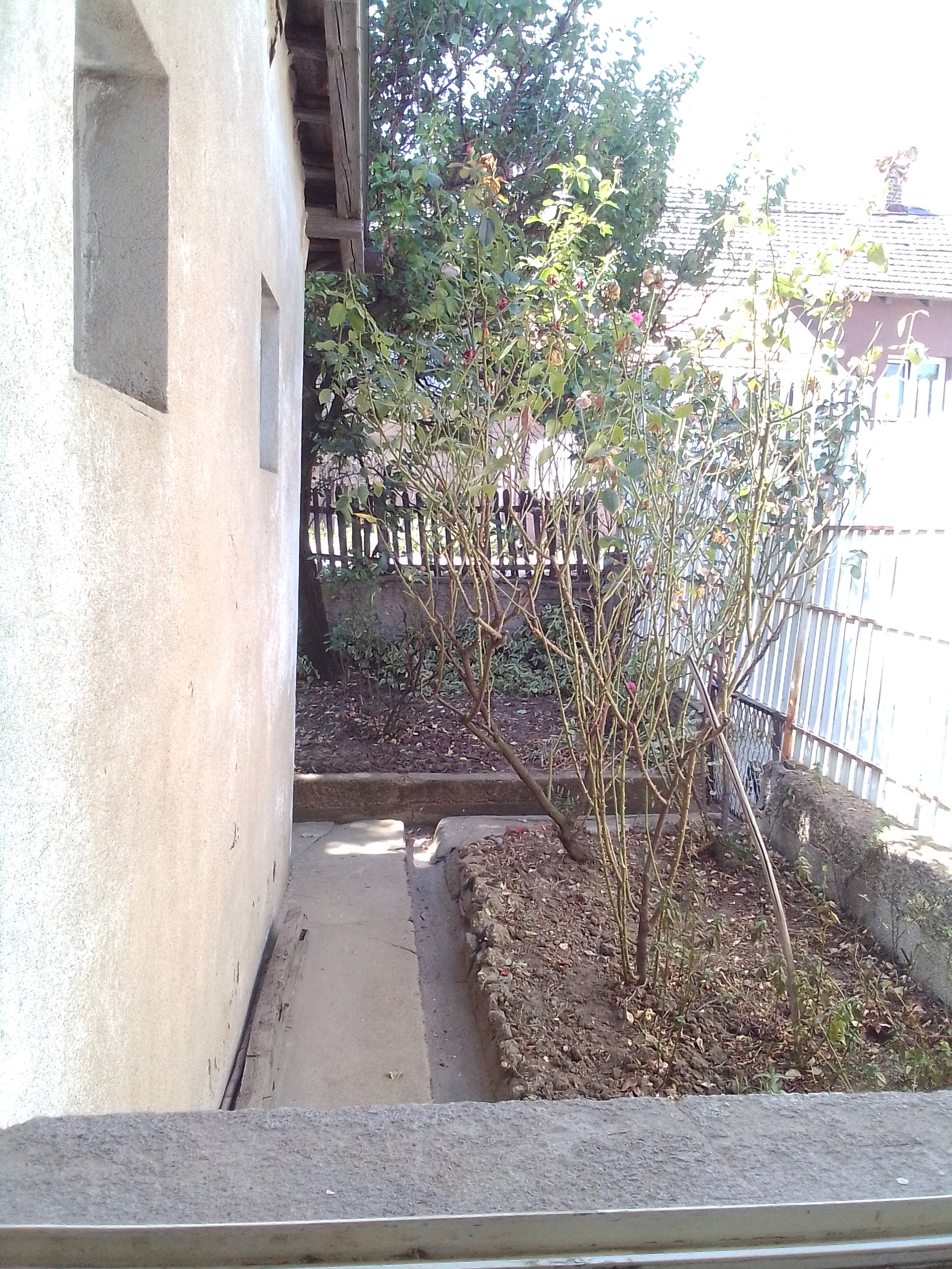 Bor Stan Prodaja Dvosoban prizeman dvorišni 48m2 Vlasnik 4