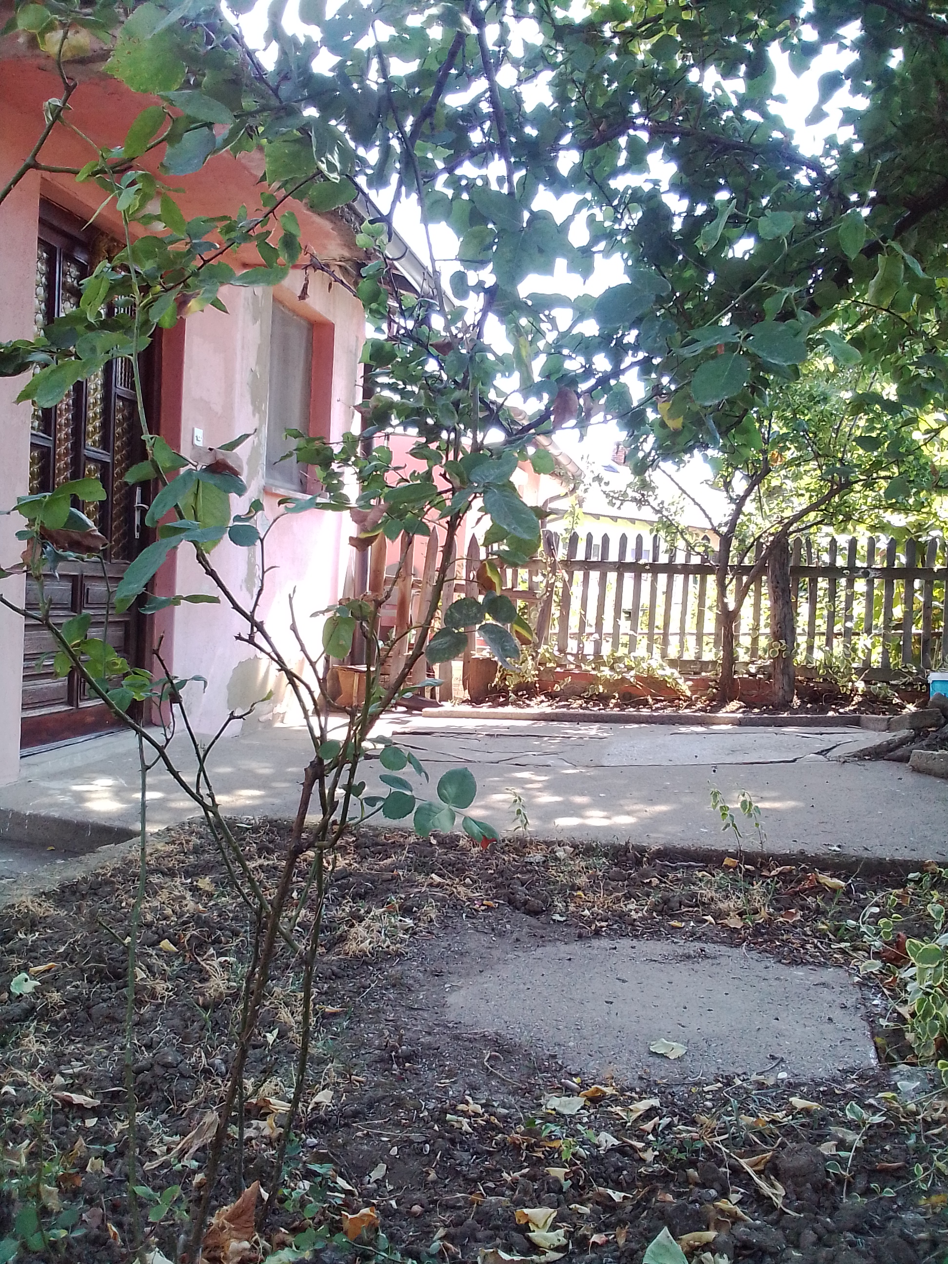 Bor Stan Prodaja Dvosoban prizeman dvorišni 48m2 Vlasnik 1