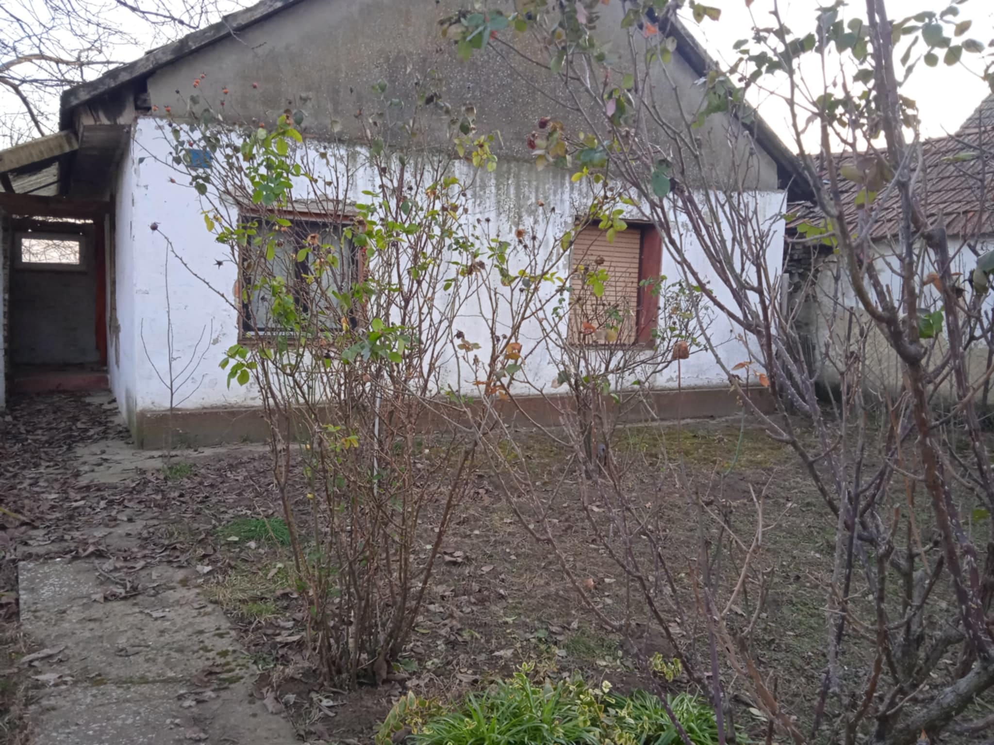 Bačka Topola   Svetićevo 3