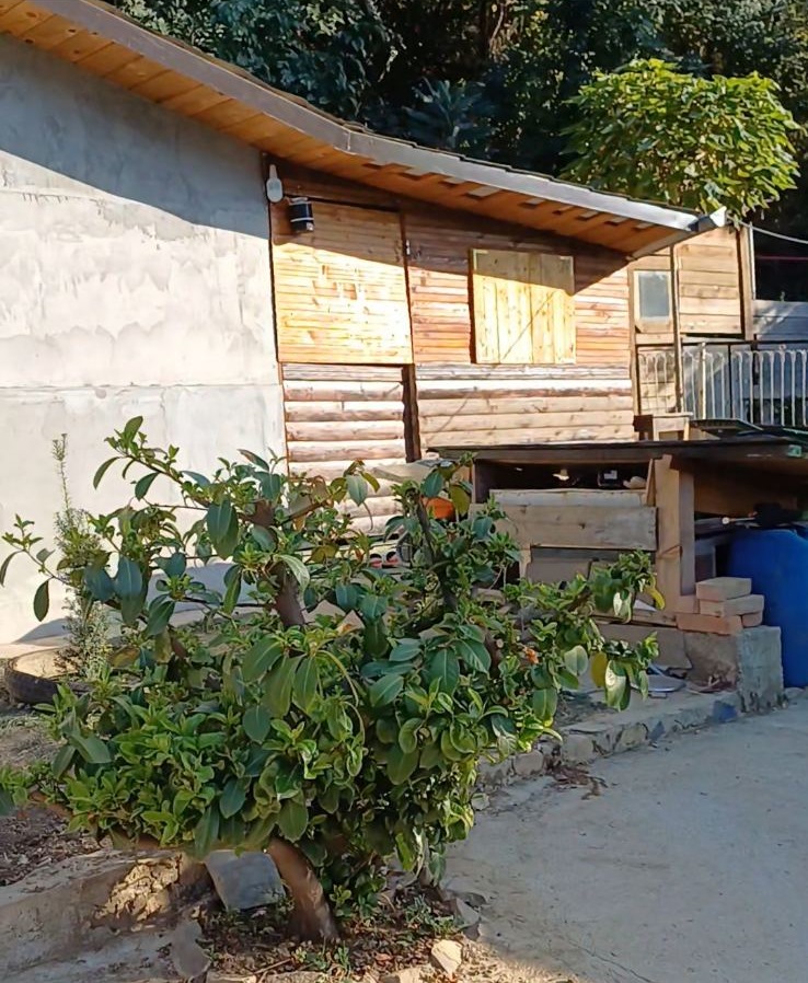 Vikendica sa pomocnim objektima na Dunavu 3