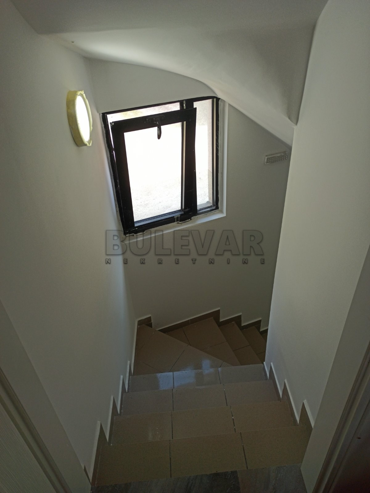 Lokal, 60 m2, Šojka, Obilićev venac ID: i-013505 4