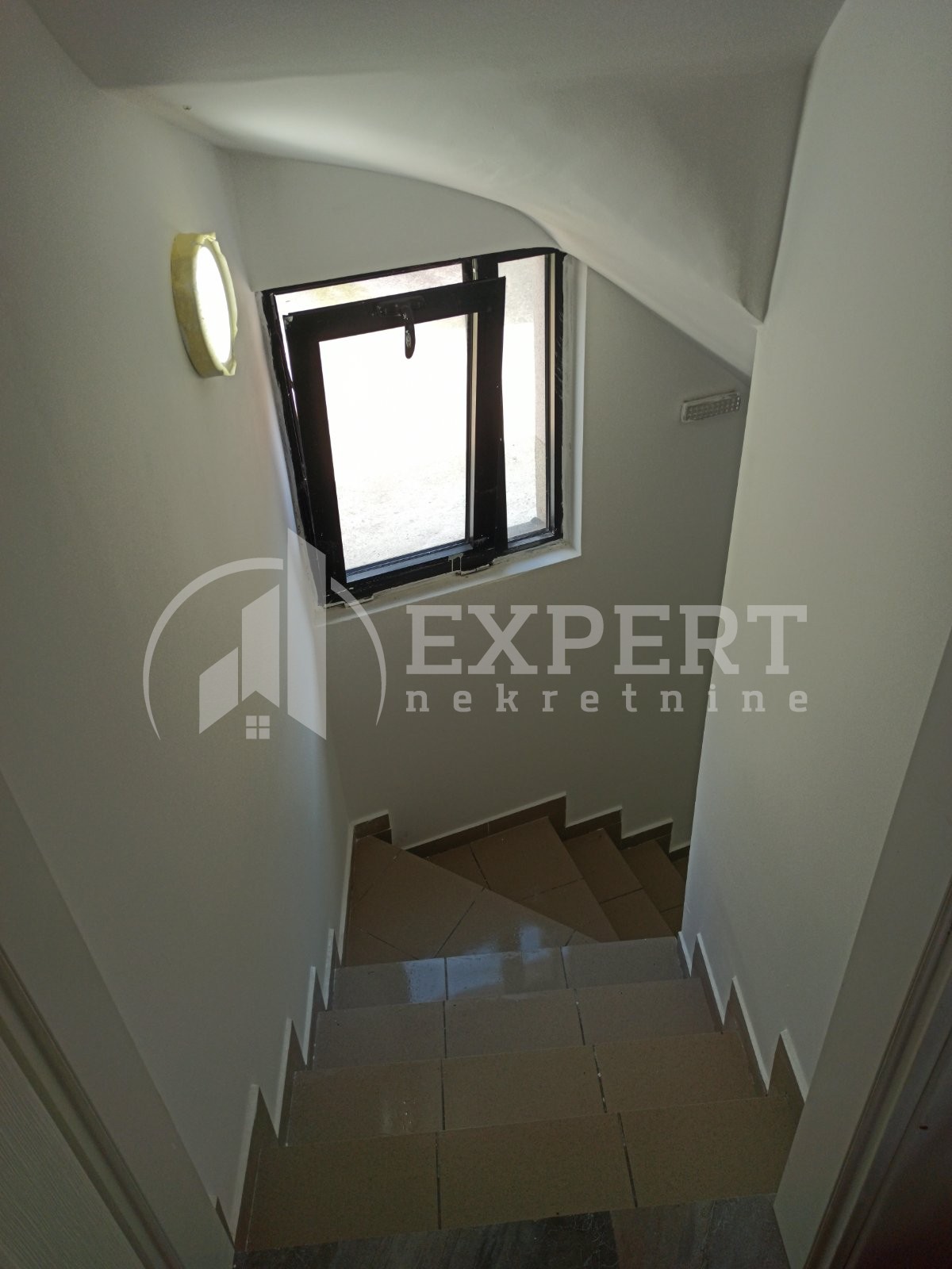 Lokal, 60 m2, Šojka, Obilićev venac ID: i-013505 4