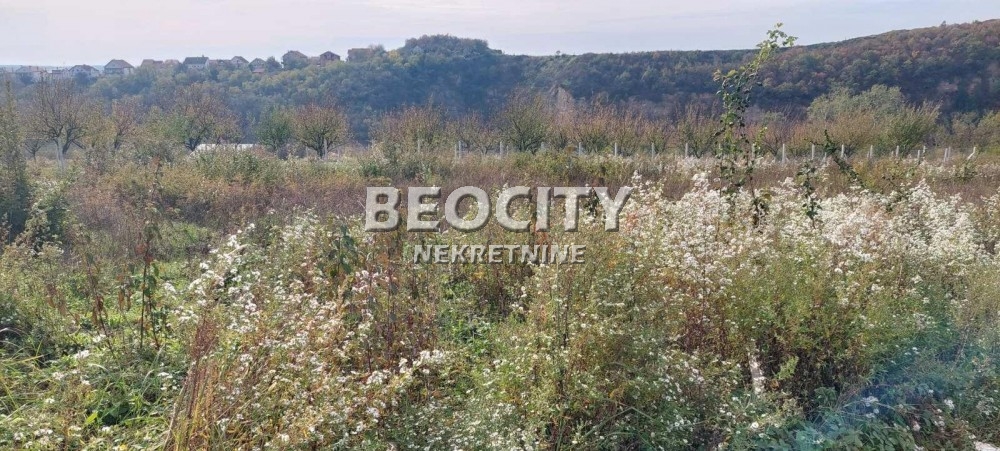 Plac, Resnik, Darinke Borovic ID: 101173 1