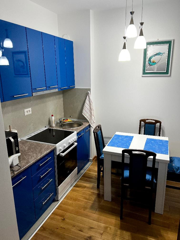 Titova vila Lux 31m2 Wellnes Spa otvoreni bazen 4