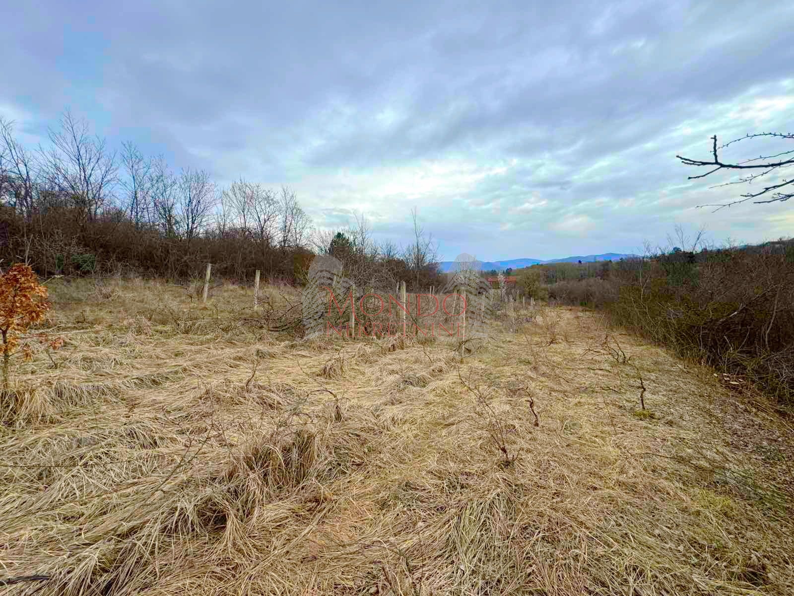 Na prodaju plac na putu za Donje Vlase, 30.63ari 6