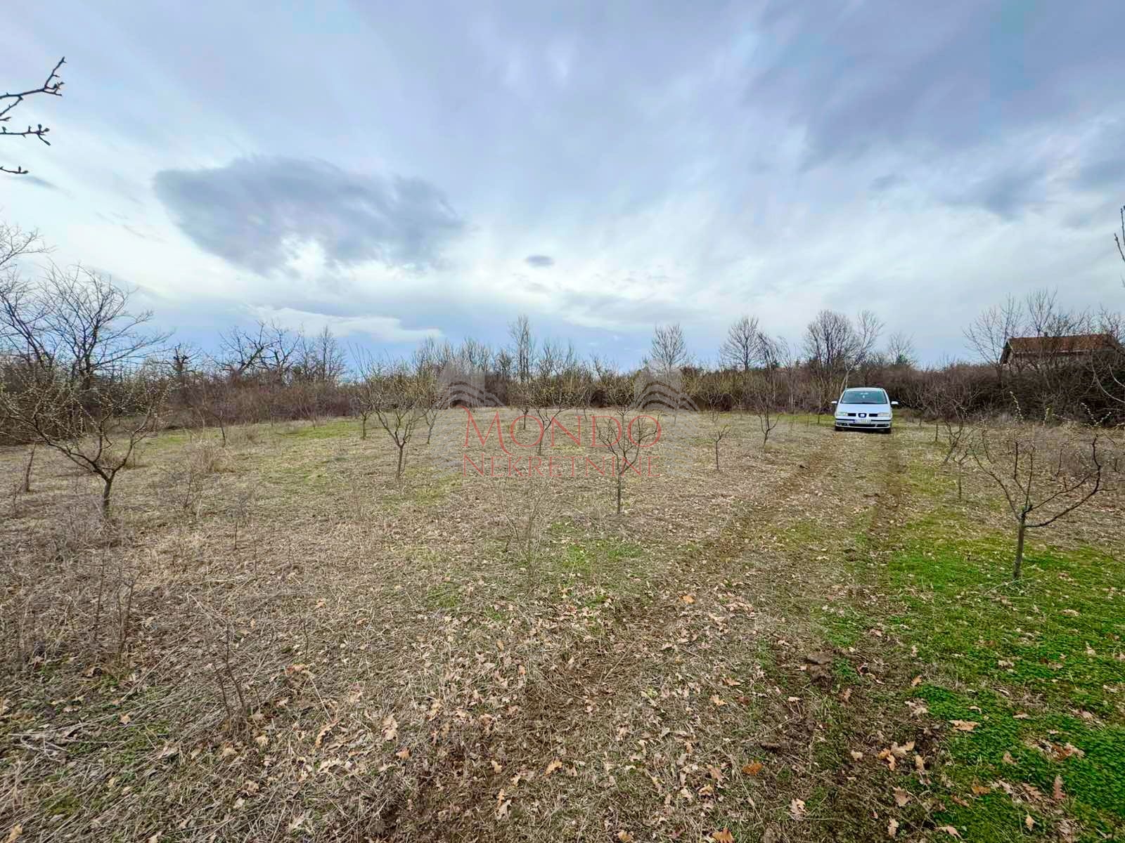 Na prodaju plac na putu za Donje Vlase, 30.63ari 7