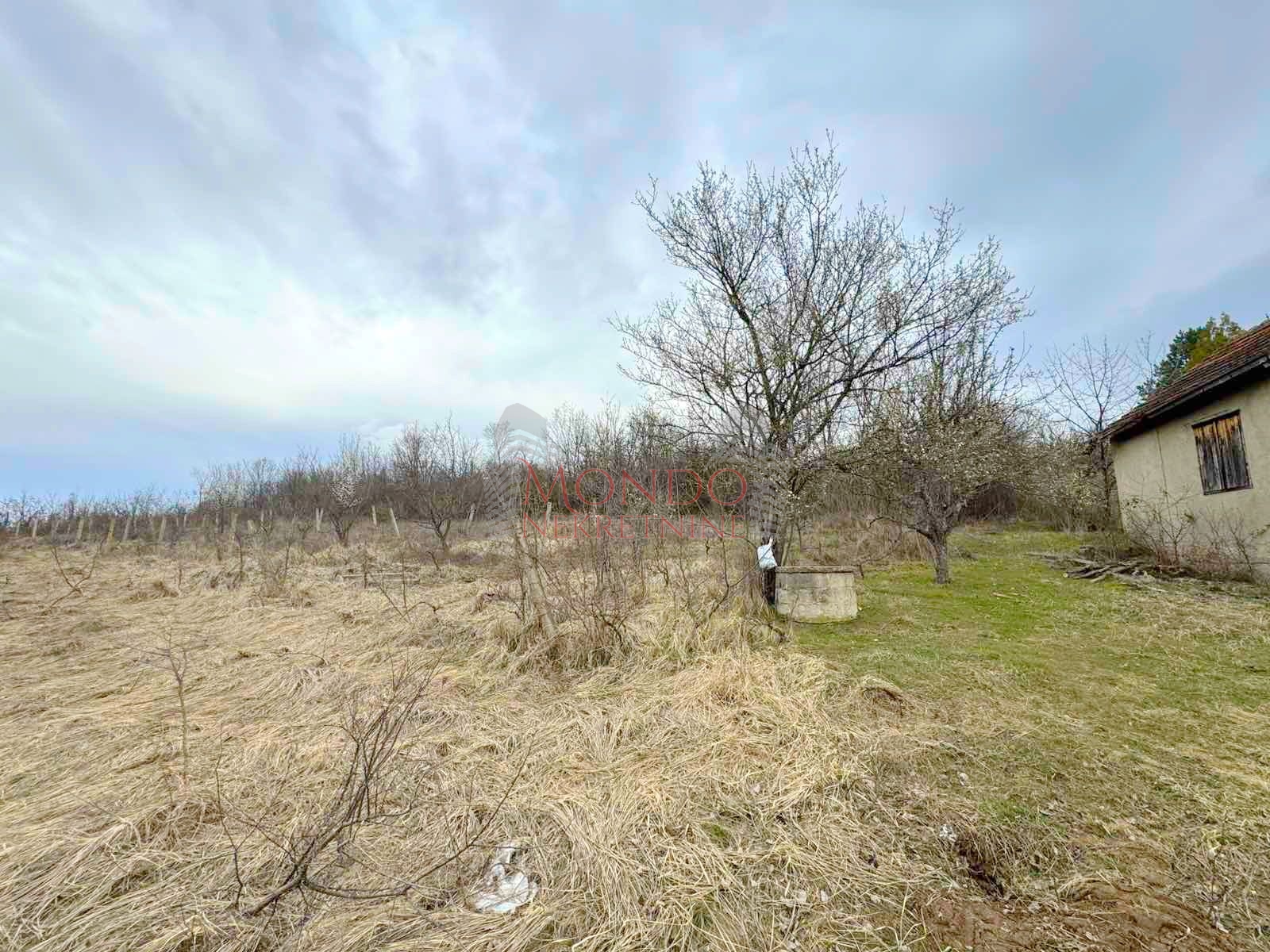 Na prodaju plac na putu za Donje Vlase, 30.63ari 4