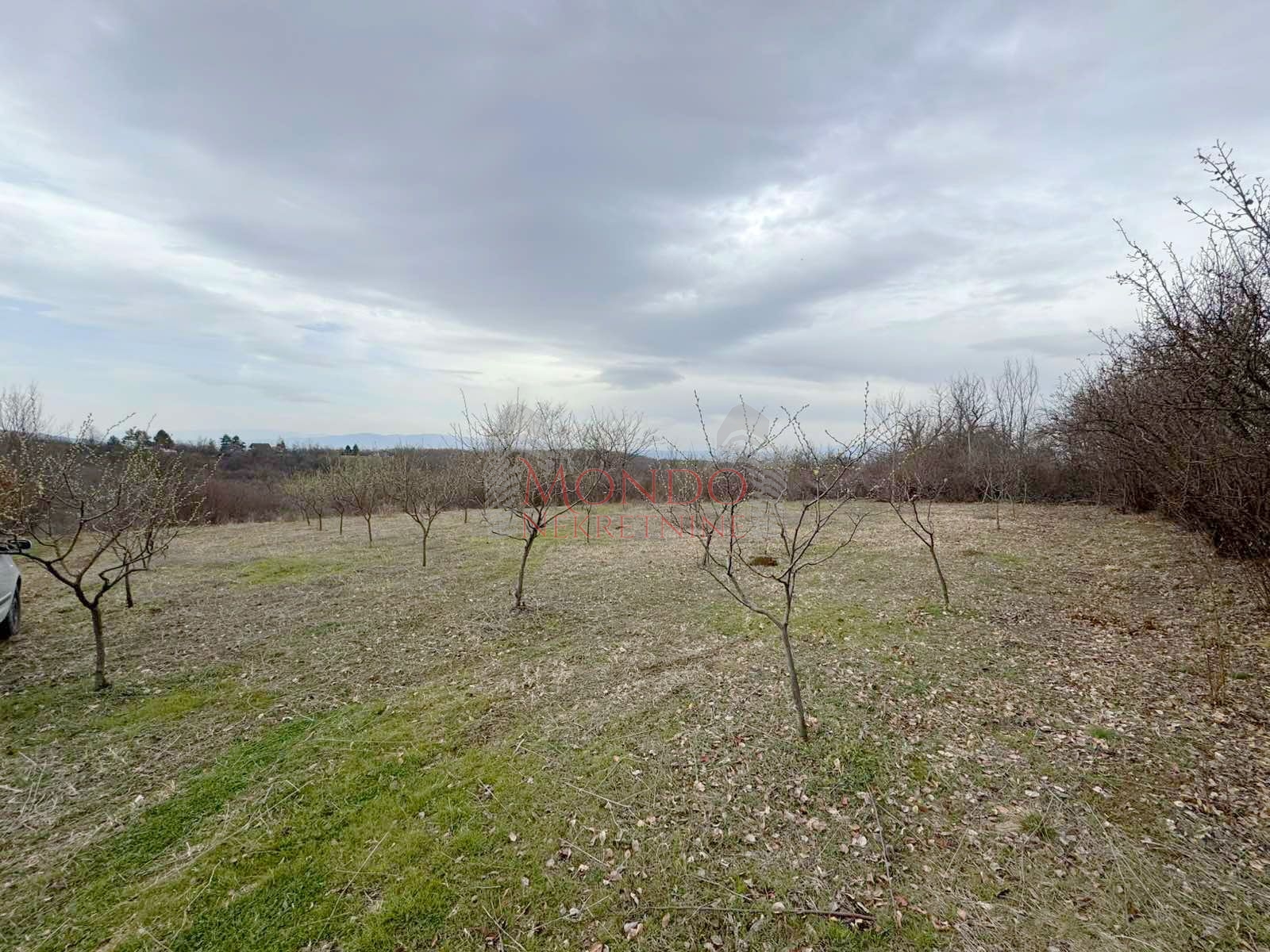 Na prodaju plac na putu za Donje Vlase, 30.63ari 8