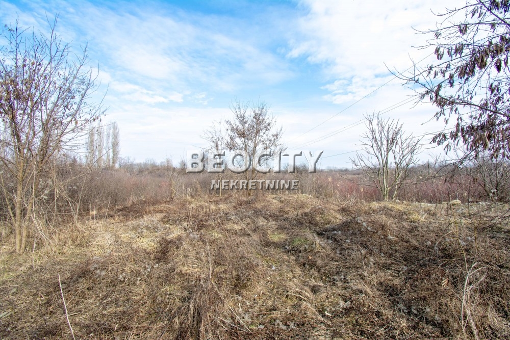 Plac, Ostružnica, Stari Obrenovacki put ID: 116385 10