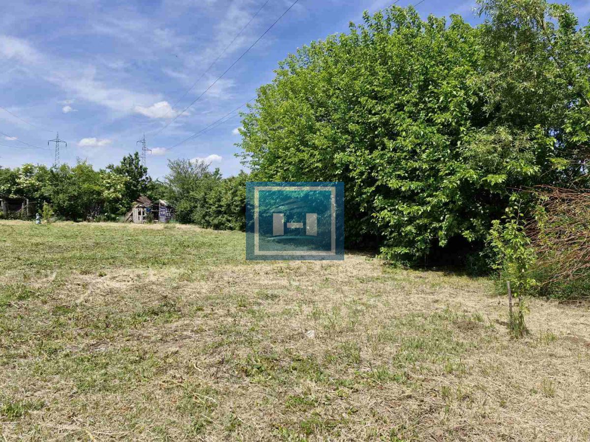 Plac na Sarinoj medji -Kupusara 3